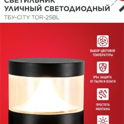 Светильник уличный светодиодный на столб ТБУ-CITY LID-25BL 25Вт 3000/4000/6500К 90x120мм черный IP54 IN HOME