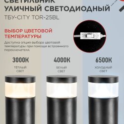Светильник уличный светодиодный на столб ТБУ-CITY LID-25BL 25Вт 3000/4000/6500К 90x120мм черный IP54 IN HOME