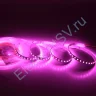Светодиодная лента Standart Pro class, 2835, 120 led/m, 8mm, без скотча, pink, 24V, IP20, SL23 - фото.