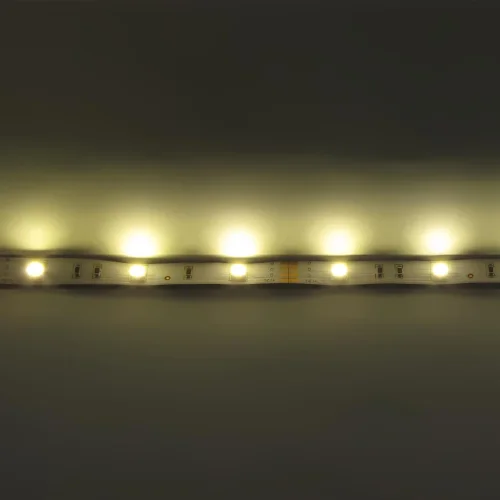 Светодиодная лента Standart class, 5050, 30led/m, Warm White, 12V, IP20 - фото I