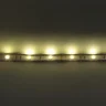 Светодиодная лента Standart class, 5050, 30led/m, Warm White, 12V, IP20 - фото I