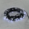 Гирлянда Нить с Контроллером 10м Белая 220В, 100 LED, Провод Черный ПВХ, IP20. Фото 2.