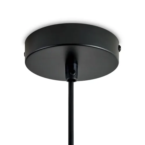 Подвесной светильник Freya FR5595PL-01B1 (Черный) - фото 15