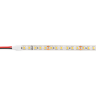 Светодиодная лента WOLTA WLS2835-12W/6500/24S120-01 SMD2835 12Вт 6500К 24В IP65 120 led/m - фото 2.
