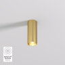Накладной светильник Denkirs SHINE TUBE | ШАЙН ТЬЮБ DK2615-SB.