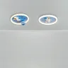Потолочный светильник FR5457CL-L36B Космический / Cosmic 36 Вт LED (Черный) FR5457CL-L36B - фото 7