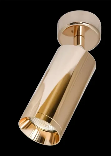 Потолочный светильник Focus 1x50Вт GU10 (Розовое Золото) - фото 2