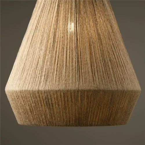 Подвесной светильник Freya FR5247PL-01BG1 (Черный) - фото 2