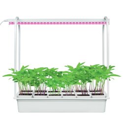 ULT-P34-10W-SPSB IP40 WHITE 12 Набор Минисад, светильник для растений светодиодный с подставкой, Спектр для рассады и цветения, 12 кашпо в-к, белые, TM Uniel