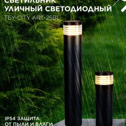 Светильник уличный светодиодный на столб ТБУ-CITY ART-25BL 25Вт 3000/4000/6500К 90x120мм черный IP54 IN HOME