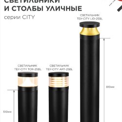 Светильник уличный светодиодный на столб ТБУ-CITY ART-25BL 25Вт 3000/4000/6500К 90x120мм черный IP54 IN HOME