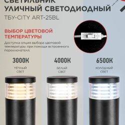 Светильник уличный светодиодный на столб ТБУ-CITY ART-25BL 25Вт 3000/4000/6500К 90x120мм черный IP54 IN HOME