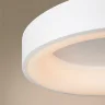 Потолочный светильник FR6118CL-L45W Люмикс / Lumix 41 Вт LED с пультом ДУ (Белый) FR6118CL-L45W - фото 6