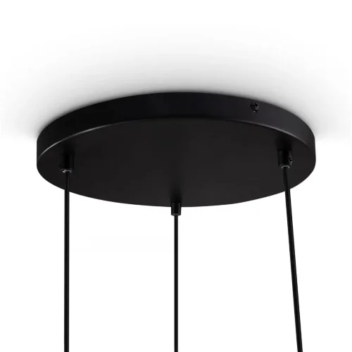 Подвесной светильник Freya FR1011PL-03B (Черный) - фото 5