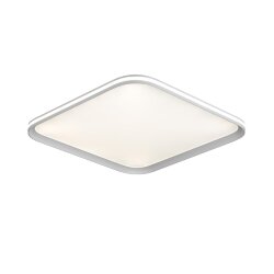 Потолочный светильник «Sonex» 7750/95L, серия: BETA (накладной) - -