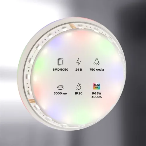 Светодиодная лента 24В 5050 19,2Вт/м RGBW 4000K 5м IP20 (Белый) - фото 3