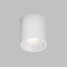DK3090-WH Светильник накладной IP 20, 10 Вт, GU5.3, LED, белый/белый, пластик. Фото 2