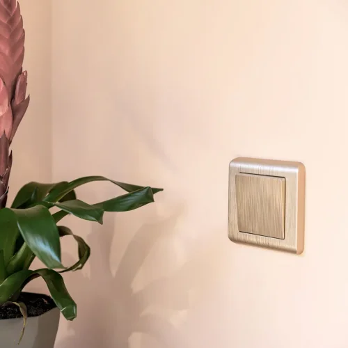 Клавиша для выключателя перекрестного (шампань рифленый) W1119010 - фото 3