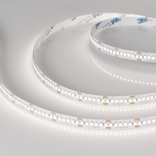 Светодиодная лента RT-A240-10mm 24V Day5000 (19.2 W/m, IP20, 3528, 5m) (Arlight, Открытый) - фото 1