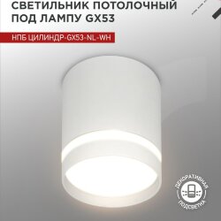 Светильник потолочный НПБ ЦИЛИНДР-GX53-NL-WH под лампу GX53 82х80мм белый IN HOME