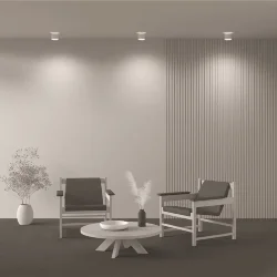 Потолочный светильник Planet 3000K 1x12Вт 90° (Белый)