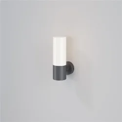 Настенный светильник (бра) Уиллис / Willis E27х1 60Вт IP 54 (Серый) O418WL-01GR