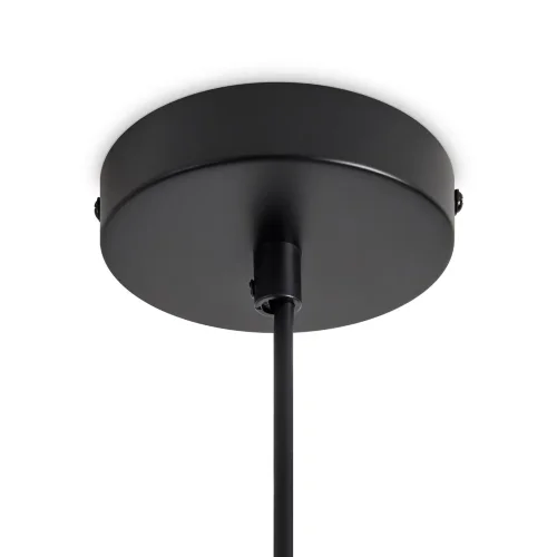 Подвесной светильник Глобо / Globo (Черный) FR5628PL-01BGW1 - фото 7