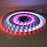 Светодиодная лента 5050, 30 led/m, V600, RGB-SPI (IC1804), 12V, IP65 - фото 3.