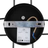 Люстра FR5328CL-08B Флористический / Floristic G9x8 (Черный) FR5328CL-08B - фото 5