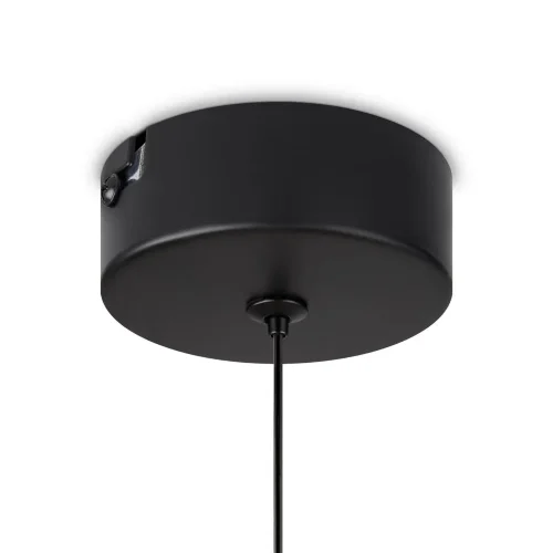 Подвесной светильник Freya FR6133PL-L4C (Черный) - фото 5