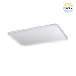 Потолочный светильник «Sonex» 7751/130L, серия: BETA (накладной)