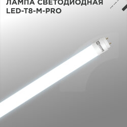 Лампа светодиодная LED-T8-М-PRO 10Вт 230В G13 6500К 1000Лм 600мм матовая неповоротная IN HOME