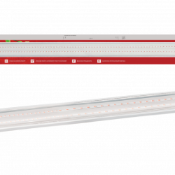 Светильник светодиодный СПБ-110 STD-ФИТО красно-синий спектр 75Вт 1200мм IP40 IN HOME