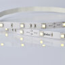 ULS-M22-5050-30LED-m-10mm-IP20-DC12V-7.2W-m-5M-4000K PROFI Гибкая светодиодная лента на самоклеящейся основе, Катушка 5м, в герметичной упаковке, Белый свет4000К. - фото 2