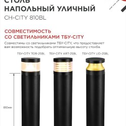Столб напольный СН-CITY 810BL для светильника ТБУ-CITY 810мм черный IP54 IN HOME