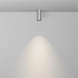 Потолочный светильник Фокус / FOCUS LED 12 Вт 4000 К 50° (Платина) C056CL-L12W4K-W-PT