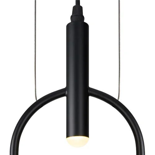 Подвесной светильник Freya FR5400PL-01B (Черный) - фото 2