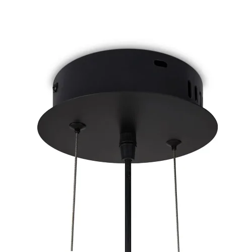Подвесной светильник Freya FR5400PL-01B (Черный) - фото 4