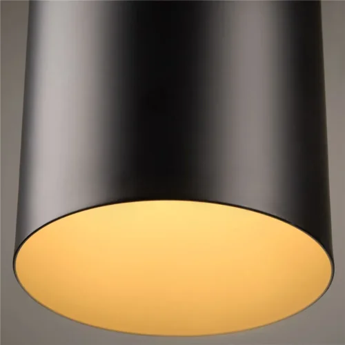 Подвесной светильник Freya FR5400PL-01B (Черный) - фото 7