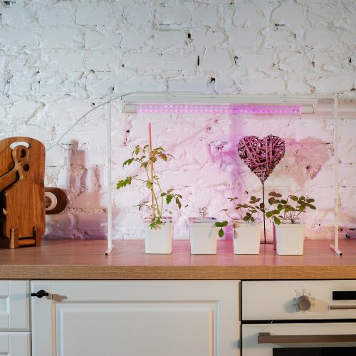 LED-T8-9W-SPSB-G13-CL PLP30WH Лампа светодиодная для растений, Форма T8, прозрачная, Спектр для рассады и цветения. - фото 5