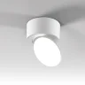 Светильник накладной поворотный светодиодный Smooth 10W 4000K белый 25053/LED - фото
