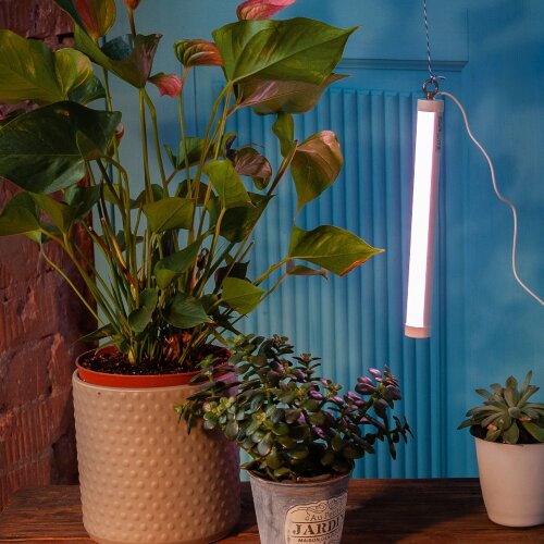 ULT-P39-6W-SPLE IP40 WHITE Светильник для растений светодиодный, высота 320мм, на колышке, Спектр для фотосинтеза, TM Uniel - фото 5