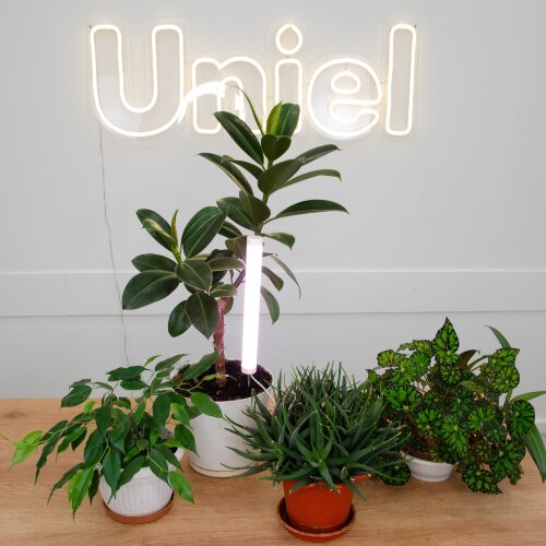 ULT-P39-6W-SPLE IP40 WHITE Светильник для растений светодиодный, высота 320мм, на колышке, Спектр для фотосинтеза, TM Uniel - фото 6