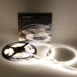 Светодиодная лента Class Premium, 2835, 120 led/m, day white, 24V, IP33, A351