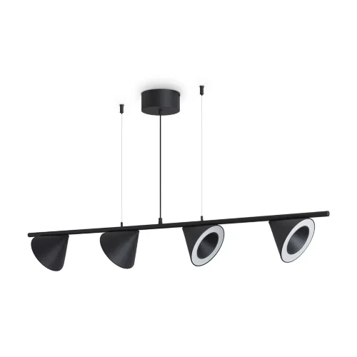 Подвесной светильник Freya FR6141PL-L28B (Черный) - фото 2