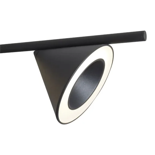 Подвесной светильник Freya FR6141PL-L28B (Черный) - фото 4