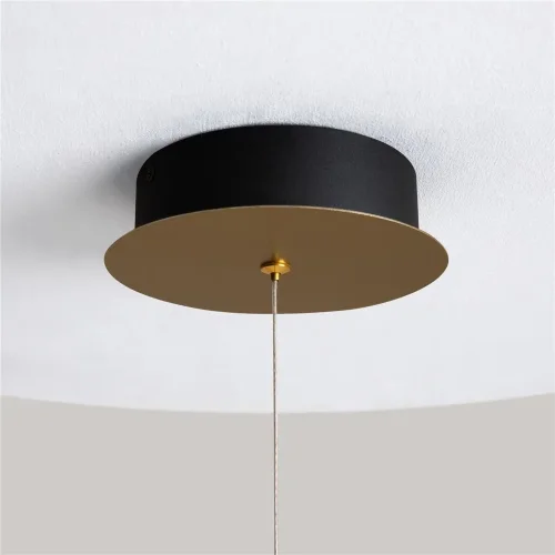 Подвесной светильник Pharao 3000К 21Вт (Черный и Латунь) - фото 7