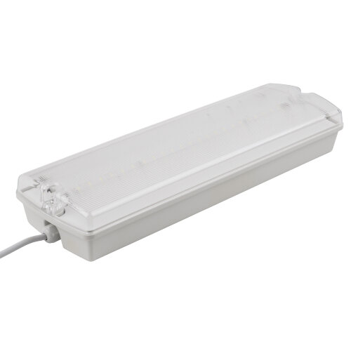 ULR-E51-10W-4000K WHITE ВЫХОД-EXIT S01 Светильник светодиодный аварийного освещения, влагозащищенный, IP65, Белый свет 4000K, Встроенный аккумулятор, Корпус белый - фото 1