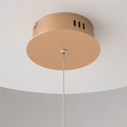 Подвесной светильник Maytoni MOD017PL-L13G (Золото) - фото 12