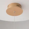 Подвесной светильник Maytoni MOD017PL-L13G (Золото) - фото 12